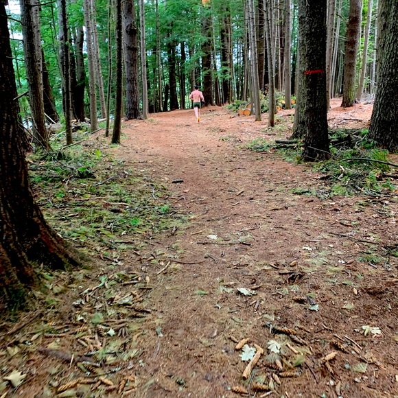 Meet your Posher, Oscar - Picture 1 of 1